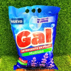 Detergente en polvo 1kg. GAL