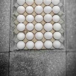 Huevos