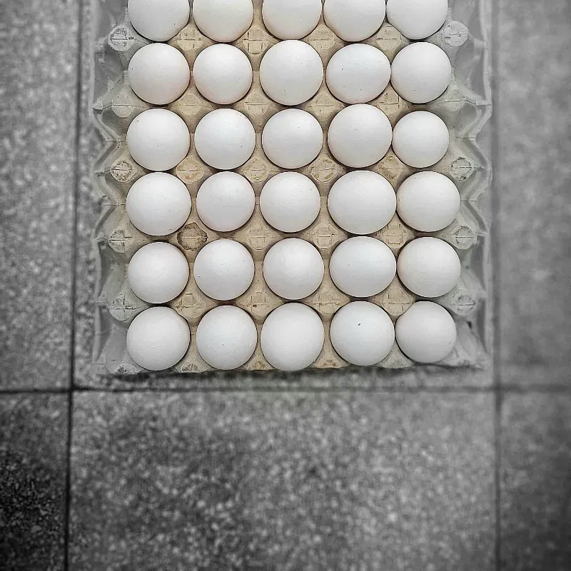 Huevos
