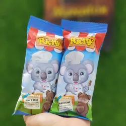 Koala cake. RICHY
