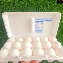 Pak de huevos . GOOD NATURE