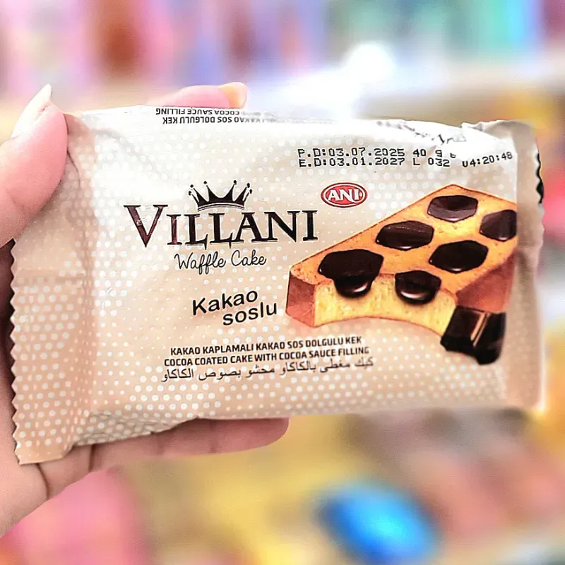 Panque Villani de chocolate 🍫 