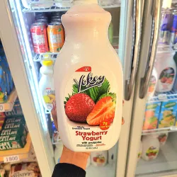 Yogurt probiótico. YOKEY 