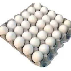 Carton de Huevos Blancos