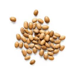 Frijoles Bayos 1 Libra