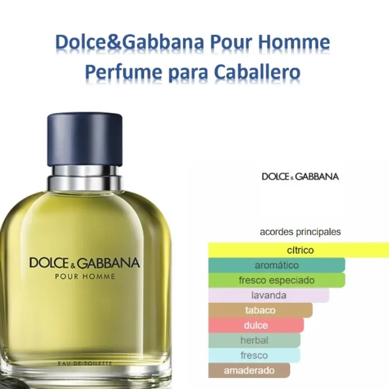 Dolce & Gabbana pour Homme