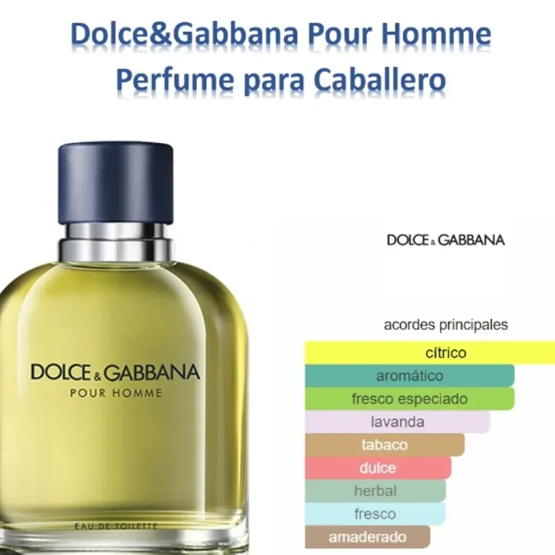 Dolce & Gabbana pour Homme