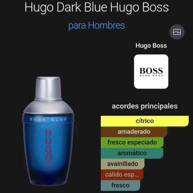 Hugo Boss Dark Blue