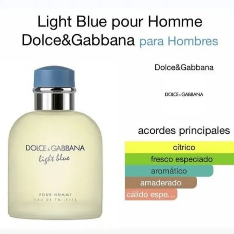 Light Blue Dolce & Gabbana
