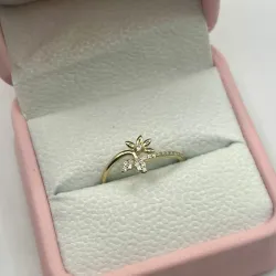 Anillo