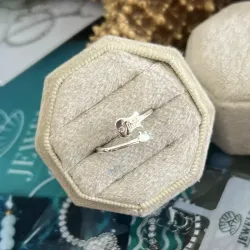 Anillo de guitarra