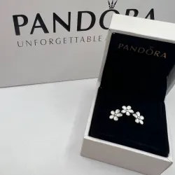 Anillo de margaritas