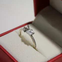Anillo de Stich