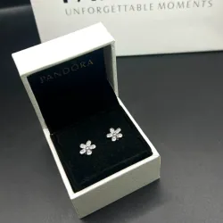 Aretes de margarita