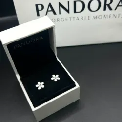 Aretes de margarita