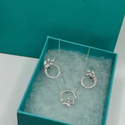 Conjunto de aro