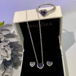 Conjunto de corazón morado