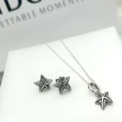Conjunto de estrella de mar