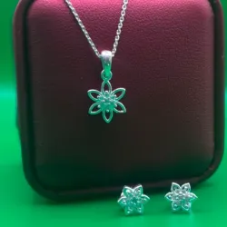 Conjunto de flor