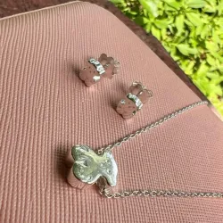 Conjunto plateado