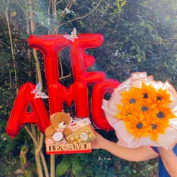 Ancheta ✨