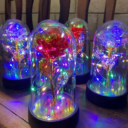 Bella y Bestia ✨🥀