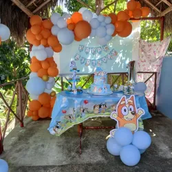 Decoración de Bluey