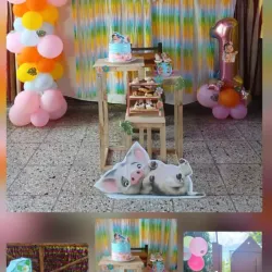 Decoración de Mohana