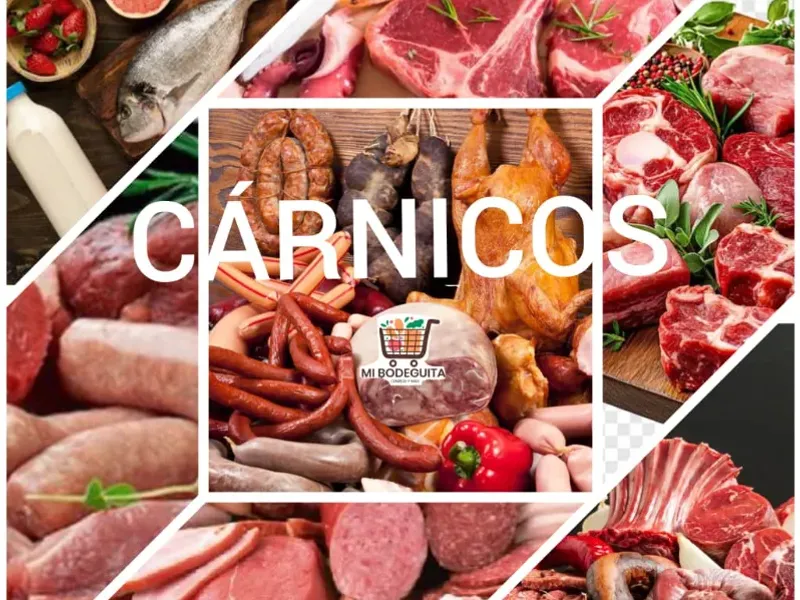 CÁRNICOS