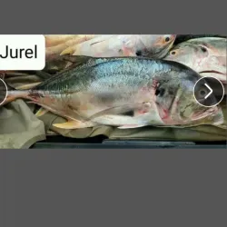 5 lb de Jurel 