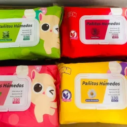 Toallas húmedas 100 unidades