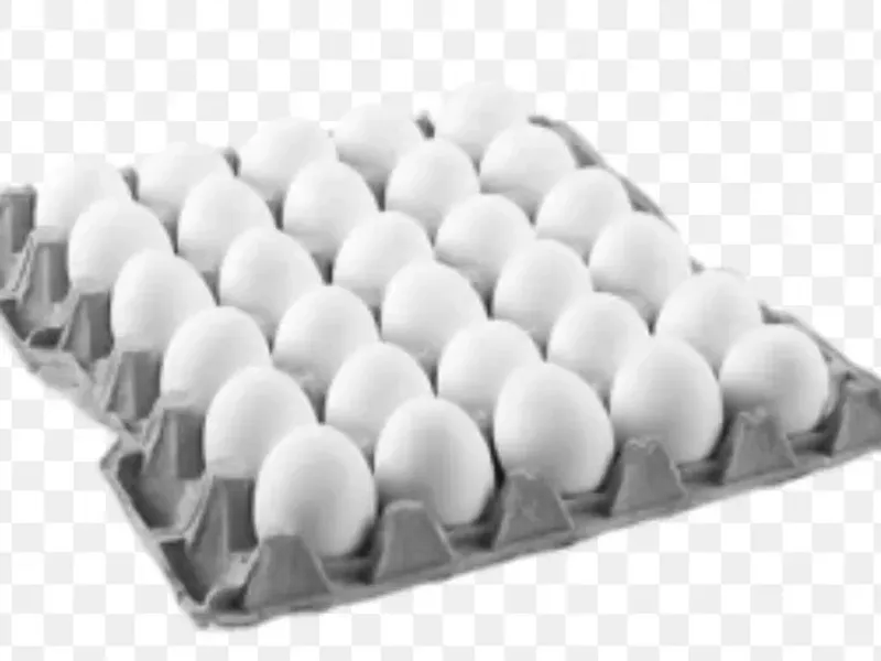 Huevos 