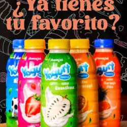 Yogurt probióticos saborizados