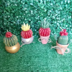 Velas de cactus 