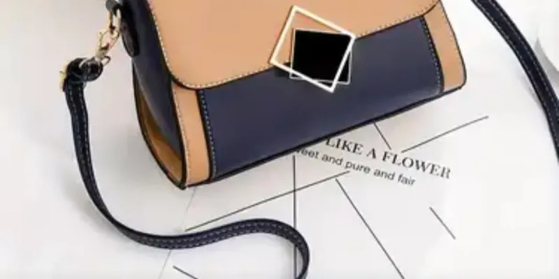 Bolso dos tonos