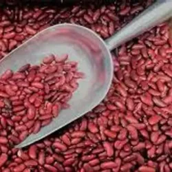 Frijoles 