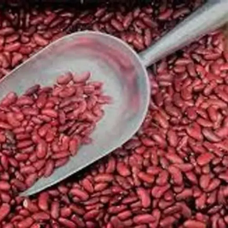 Frijoles 