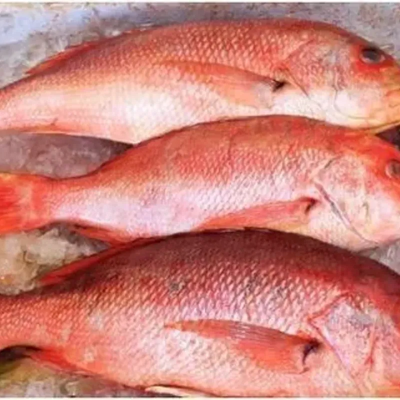 Pargo