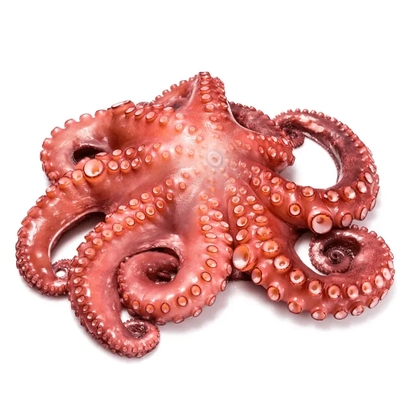Pulpo Limpio