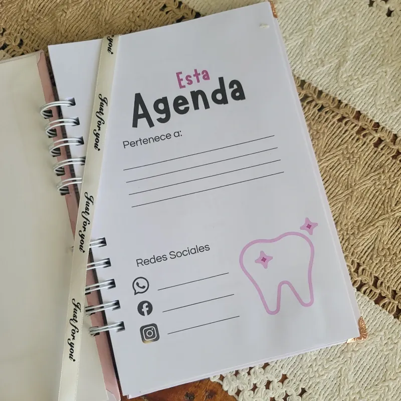 Agenda Profesional 1