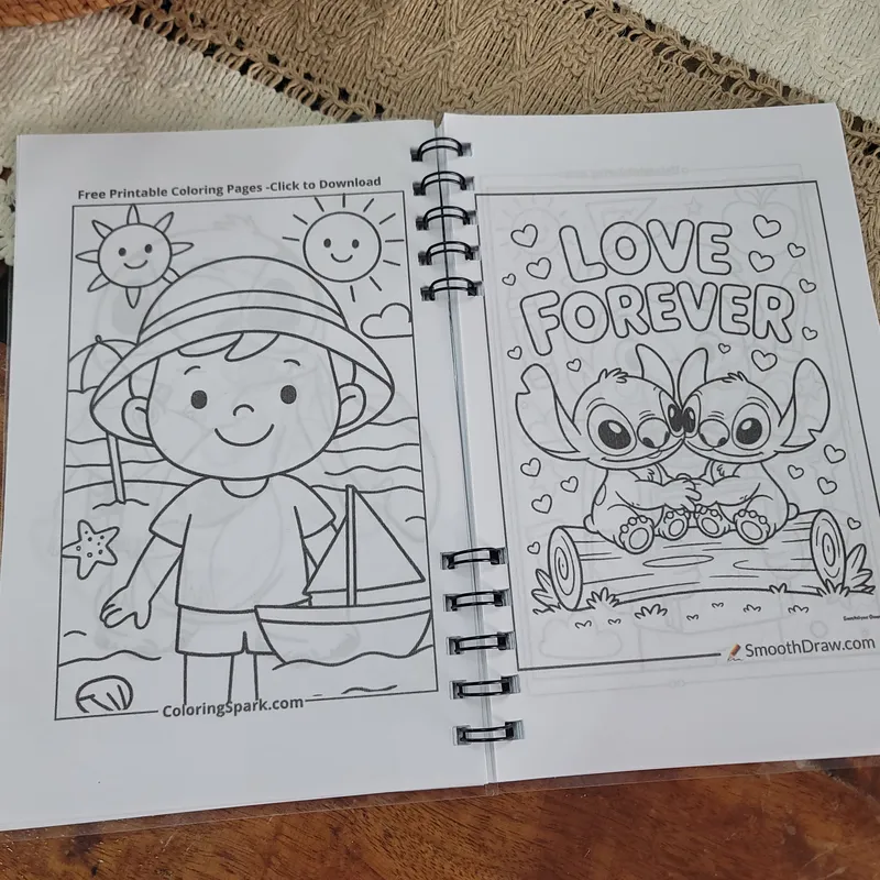 Libro colorear  Plasticado