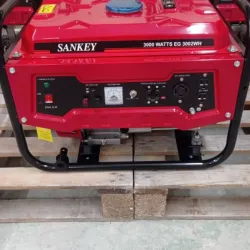 Generador eléctrico 3kw Sankey*
