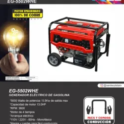 *Generador eléctrico 5.5kw Sankey*