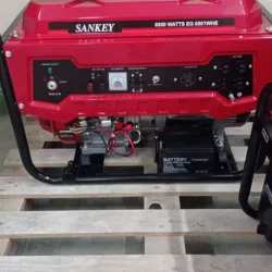 Generador eléctrico 6.5kw Sankey