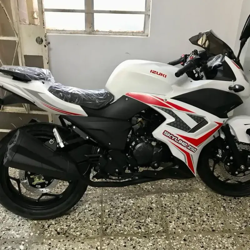 MOTO DE GASOLINA IZUKI SKYLINE 250cc