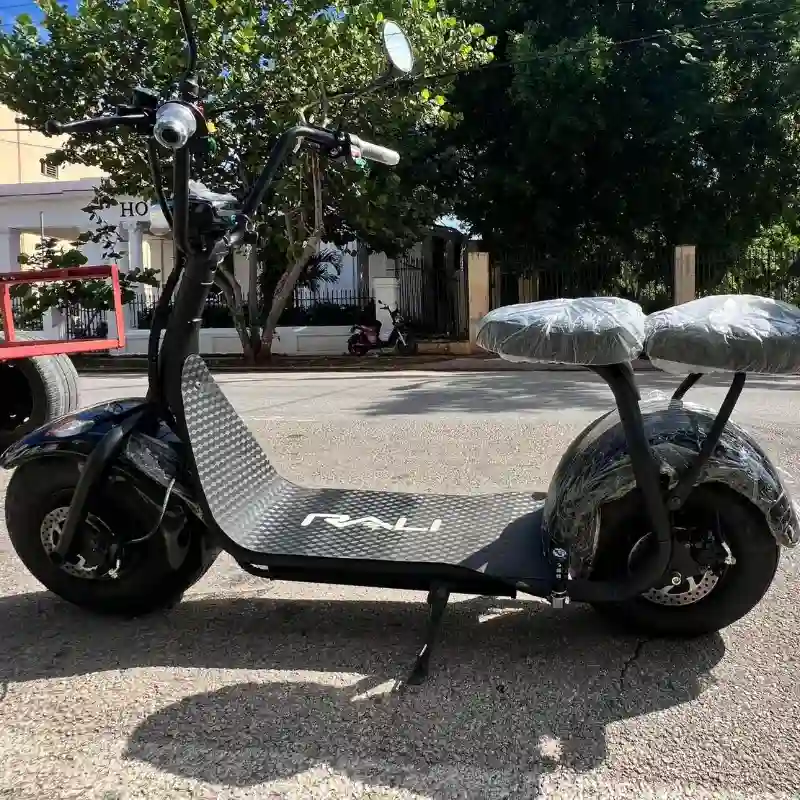 MOTO ELECTRICA RALI JJ
