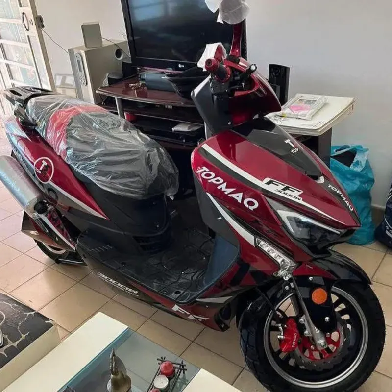 MOTO ELÉCTRICA TOPMAQ FF 