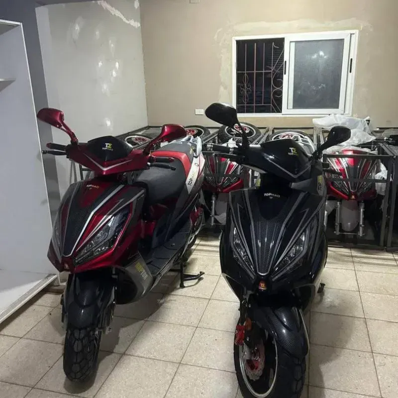 Moto Eléctrica TOPMAQ RAPTOR