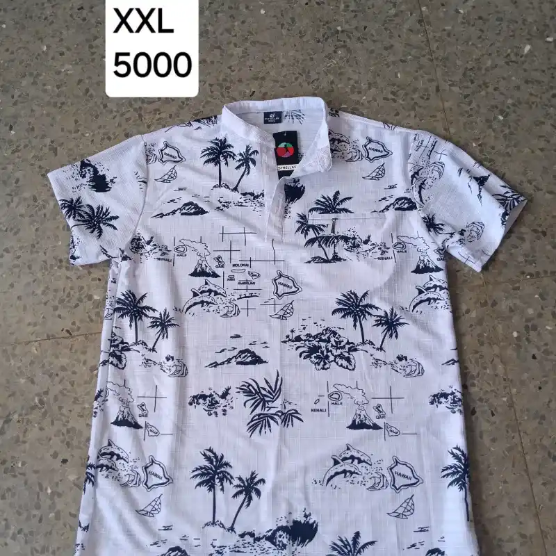 Camisa 