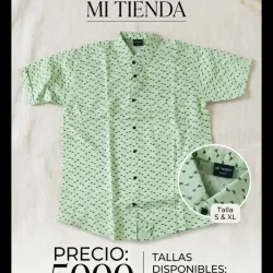 Camisas